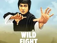 Wild Fight DNT game thumbnail