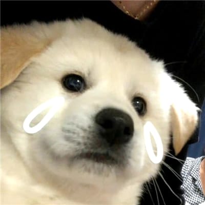 ลำไย ไหทองคำ avatar